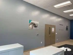 project gallery commercial painting