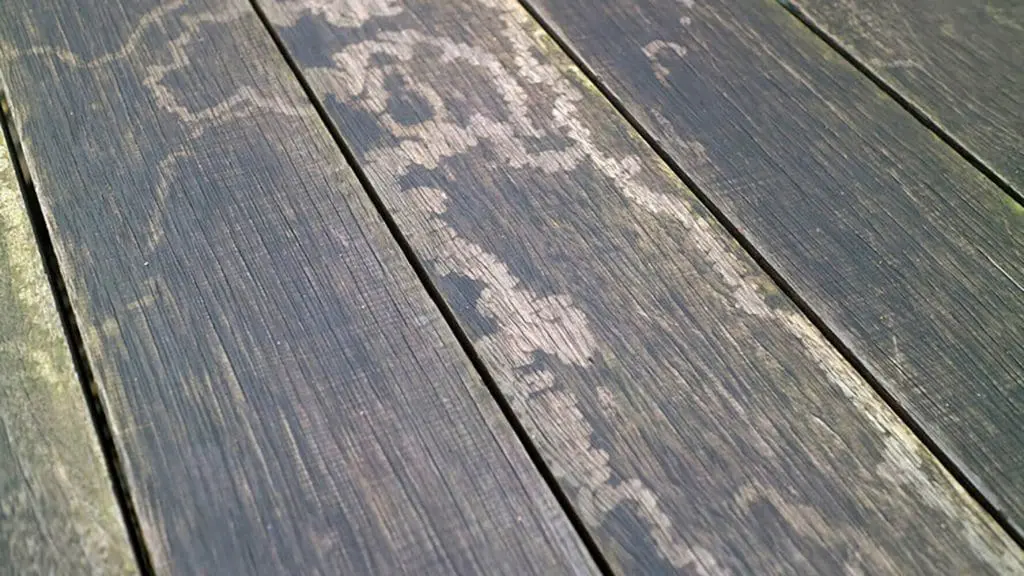 When does a deck need staining — weathered wood deck boards showing peeling stain and mildew spotting