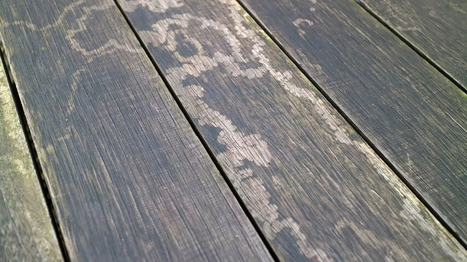 When does a deck need staining — weathered wood deck boards showing peeling stain and mildew spotting